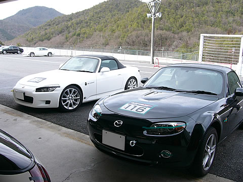 後列、緑1点です