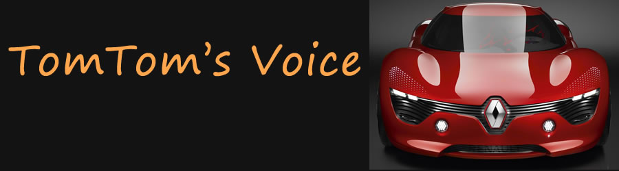 TomTom's Voice Logo