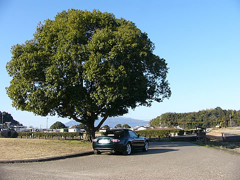 板蓋宮跡