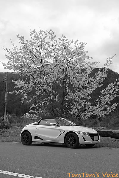 S660で行く京都美山町、遅咲きの桜を求めて