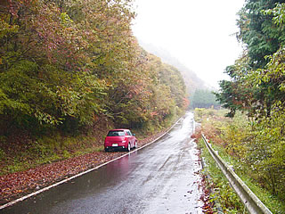 多紀連山にて、まだ紅葉はピークではない感じ