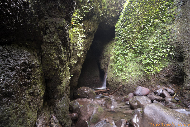 新温泉町のシワガラの滝にて。なんと洞窟の中に滝が流れていて見たことない景色だった。クルマを停めてからの徒歩でのアプローチが険しいのでそれなりの装備が必要。