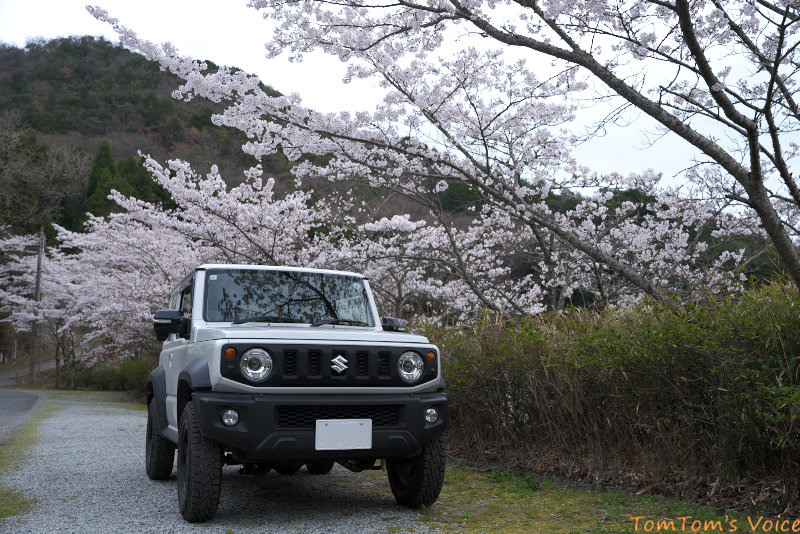 細くて大径のタイヤが好き。JB74_ジムニーシエラと桜。
